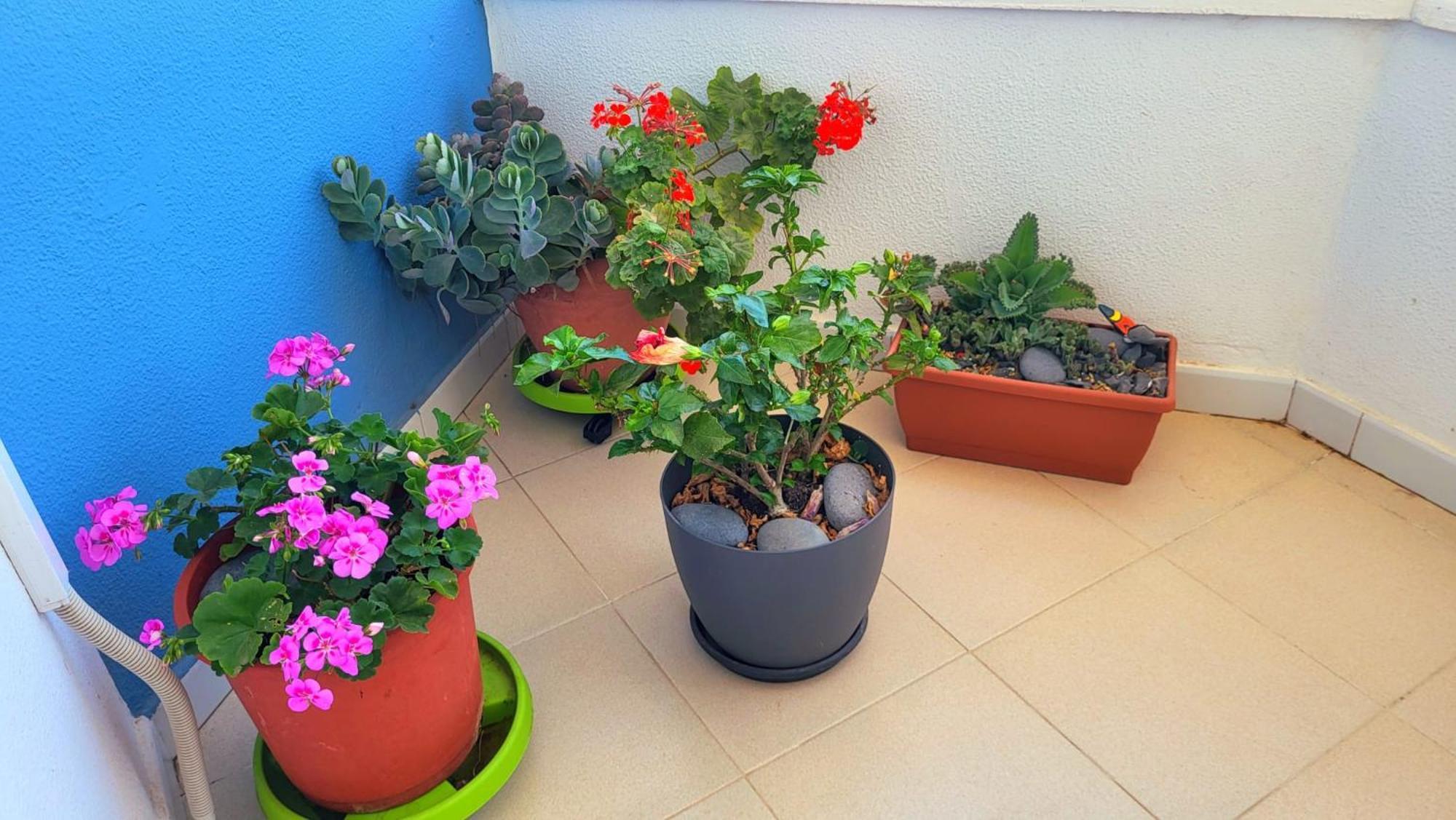 Apartment Tenerife Sud Golf Appartament *