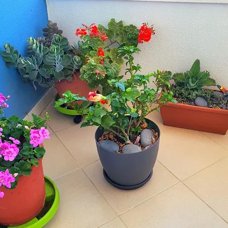 Tenerife Sud Golf Appartament San Miguel de Abona Exterior photo